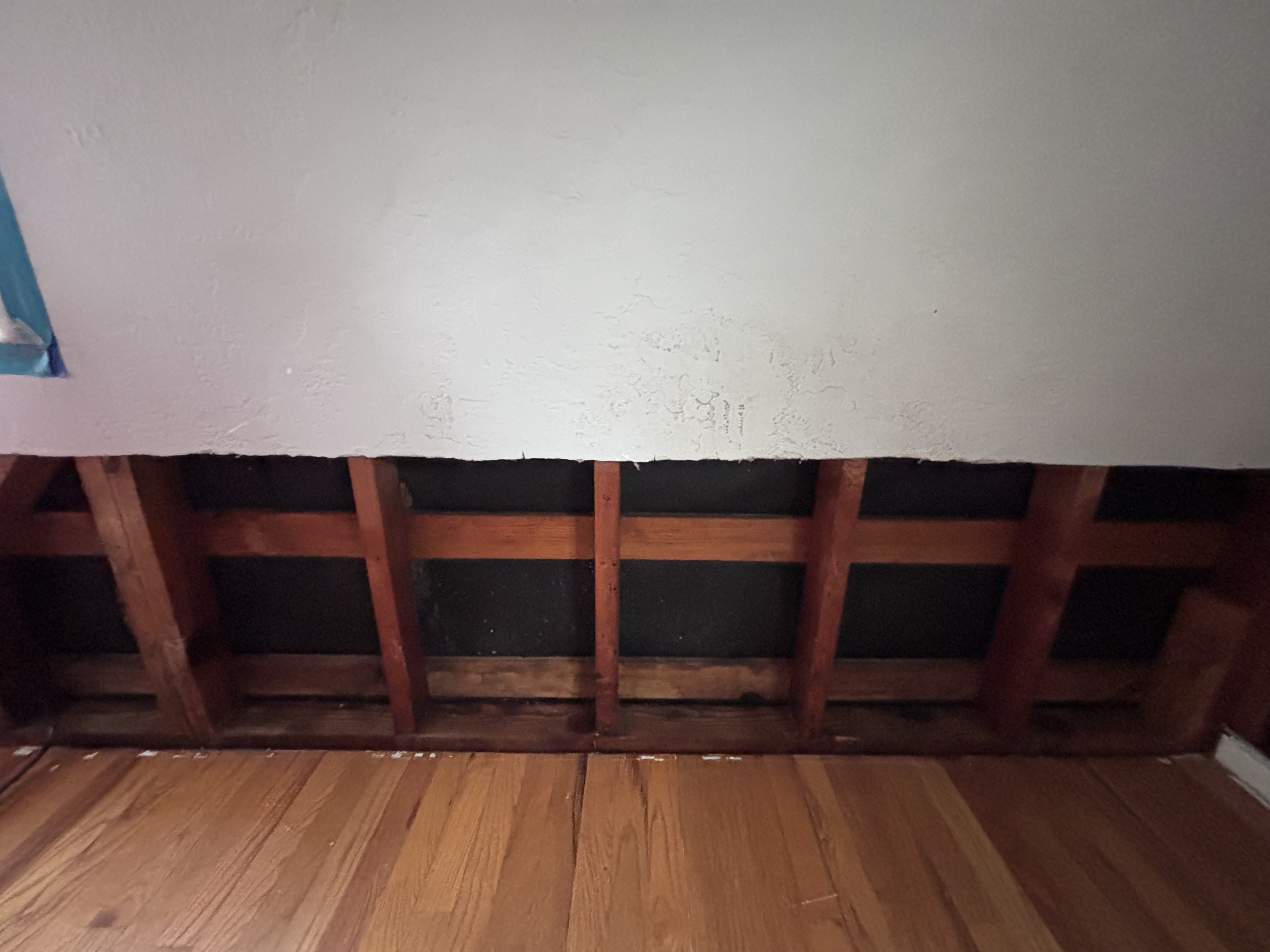 Professional Cleanup