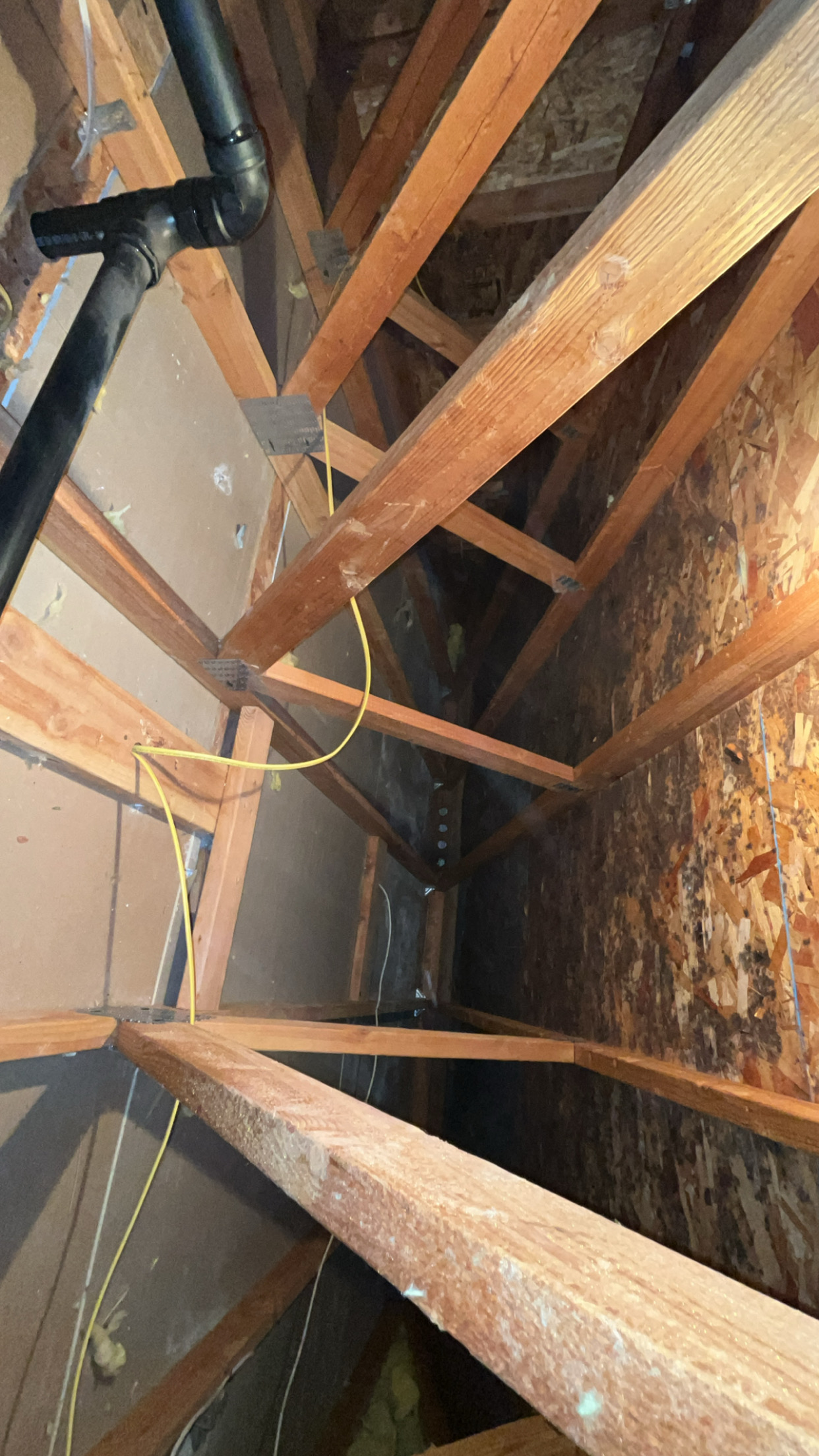 Mold Testing & Remediation