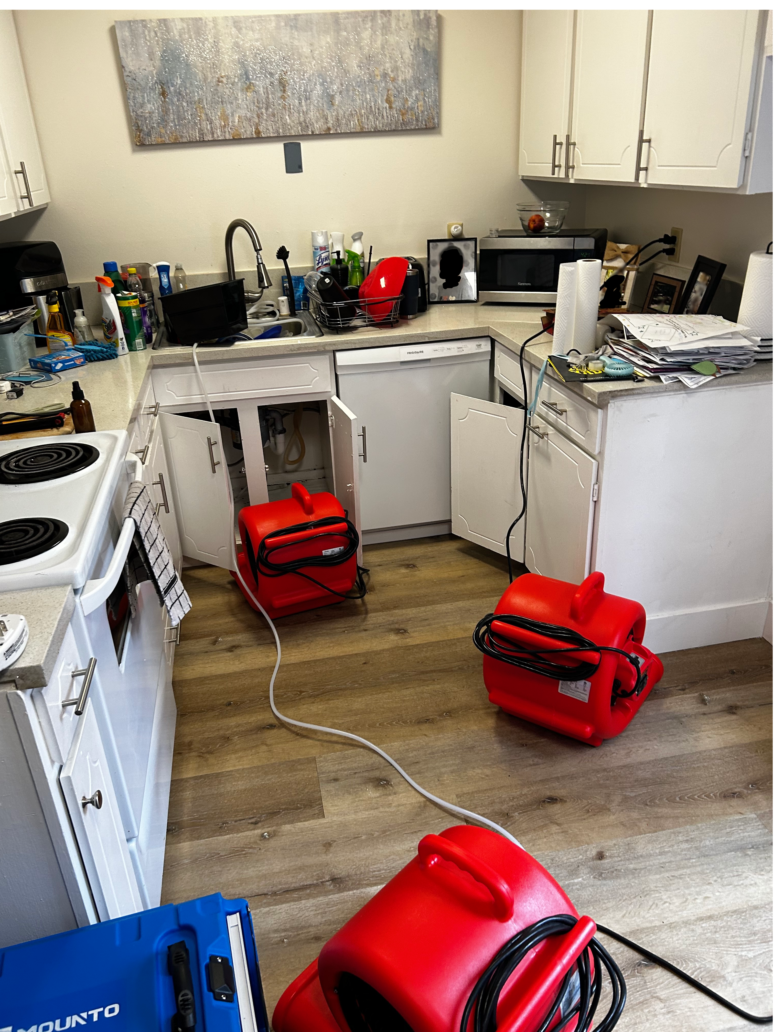 Water Damage Recovery