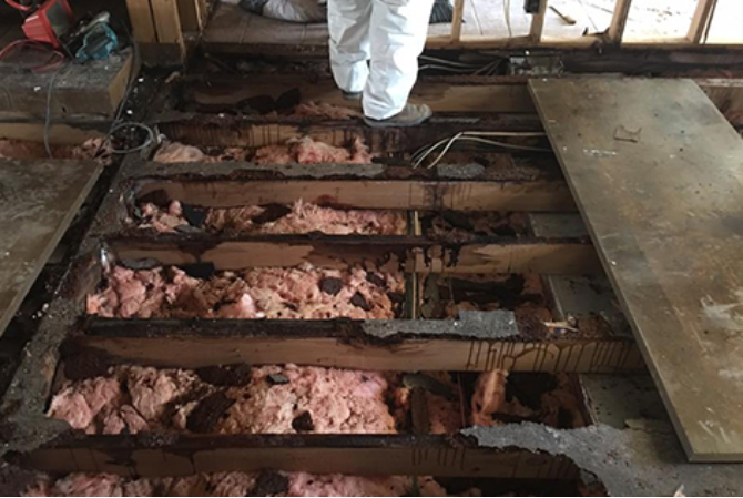 Water Damaged Floor Joyces Water Remediation in Fair Oaks, CA