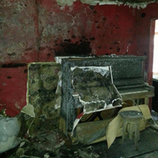 Moldy Piano and Wall
