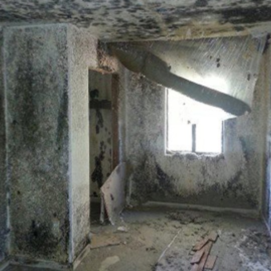Mold-Filled Room