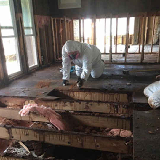 Cleaning Up Water Damaged Floors Remediation Services in Fair Oaks, CA